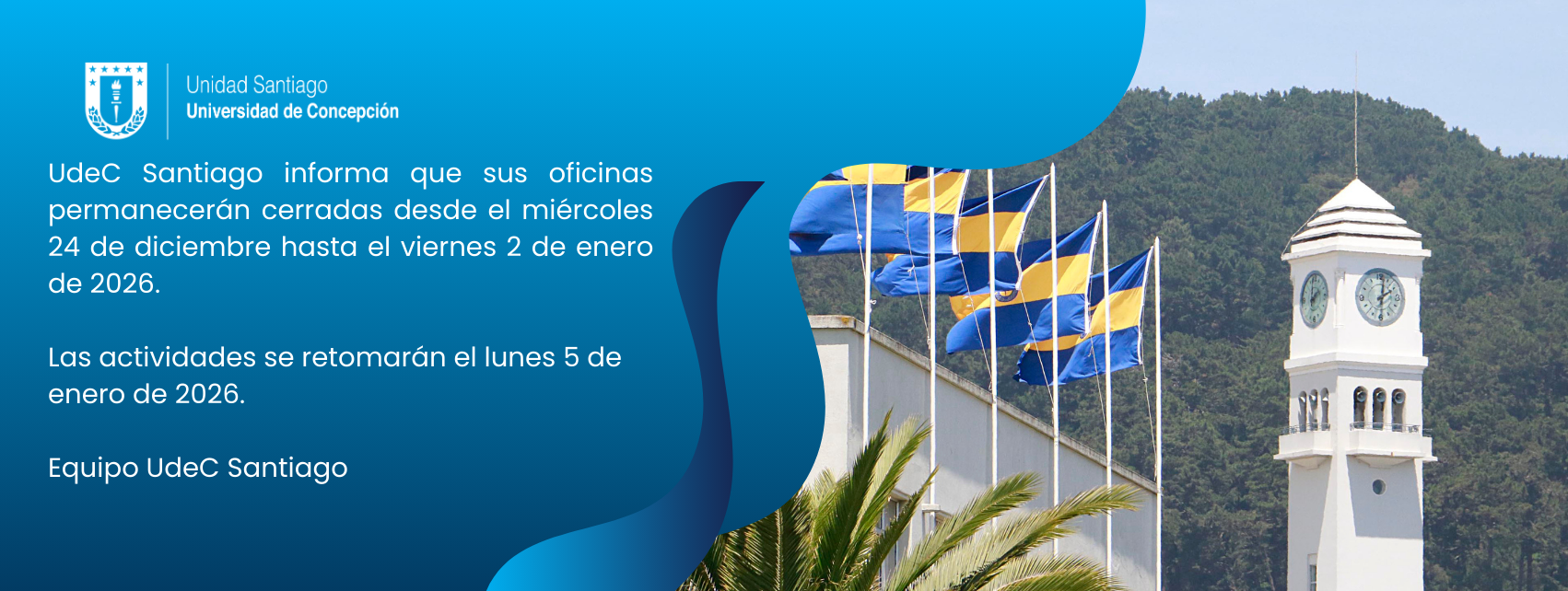 Banner fin de año 2025